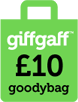 10-goodybag