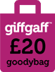 20-goodybag